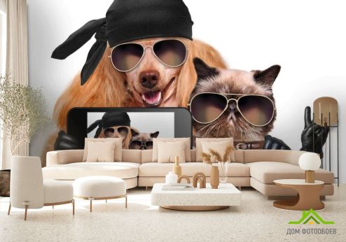 выбрать Фотообои кот с собакой делают селфи Фотообои Коты на стену