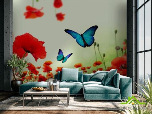 выбрать Фотообои Красные маки с бабочками  на стену