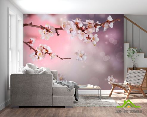 выбрать Фотообои Полевая вишня цветет Фотообои, цвет: «горизонталная, горизонтальная» на стену