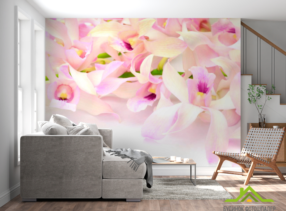 выбрать Фотошпалери Ніжно-рожеві орхідеї Каталог фотошпалер на стіну