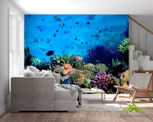 выбрать Фотообои Красота подводного мира Фотообои Море на стену