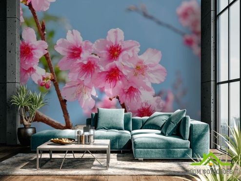 выбрать Фотошпалери яскраві рожеві квіточки на дереві Фотошпалери Фотошпалери Квіти:  на стіну