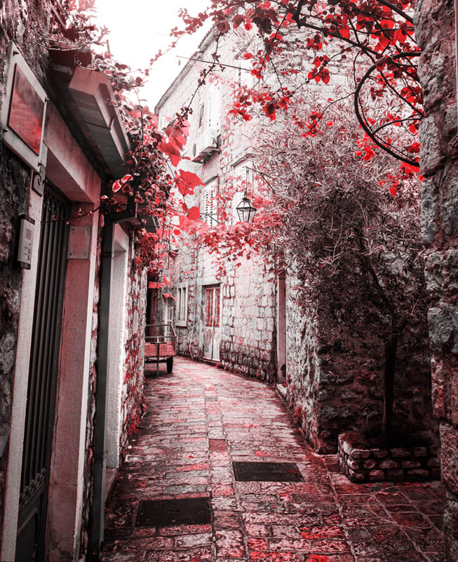 Фотообои Осенняя улочка