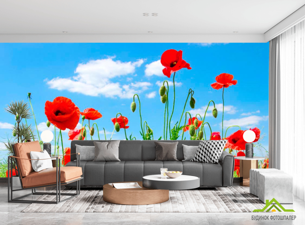 выбрать Фотошпалери Маки в степу Каталог фотошпалер на стіну