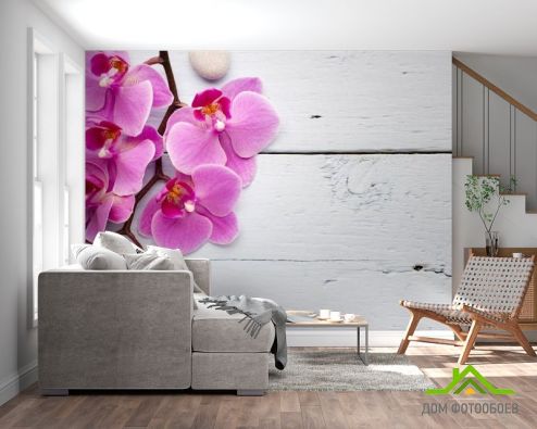 выбрать Фотообои сиреневая орхидея на белом деревянном фоне Фотообои Фотообои Орхидеи: горизонталная, горизонтальная ориентация на стену