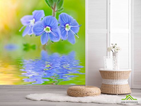 выбрать Фотообои Голубые цветы Фотообои Фотообои Цветы: голубой на стену