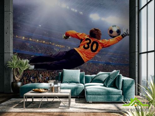 выбрать Фотообои Вратарь ловит мяч Фотообои Фотообои Спорт: фото, горизонталная, горизонтальная  на стену