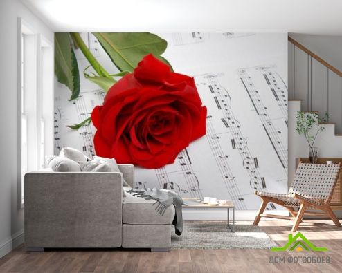 выбрать Фотошпалери Троянда на нотах Фотошпалери Квіти на стіну