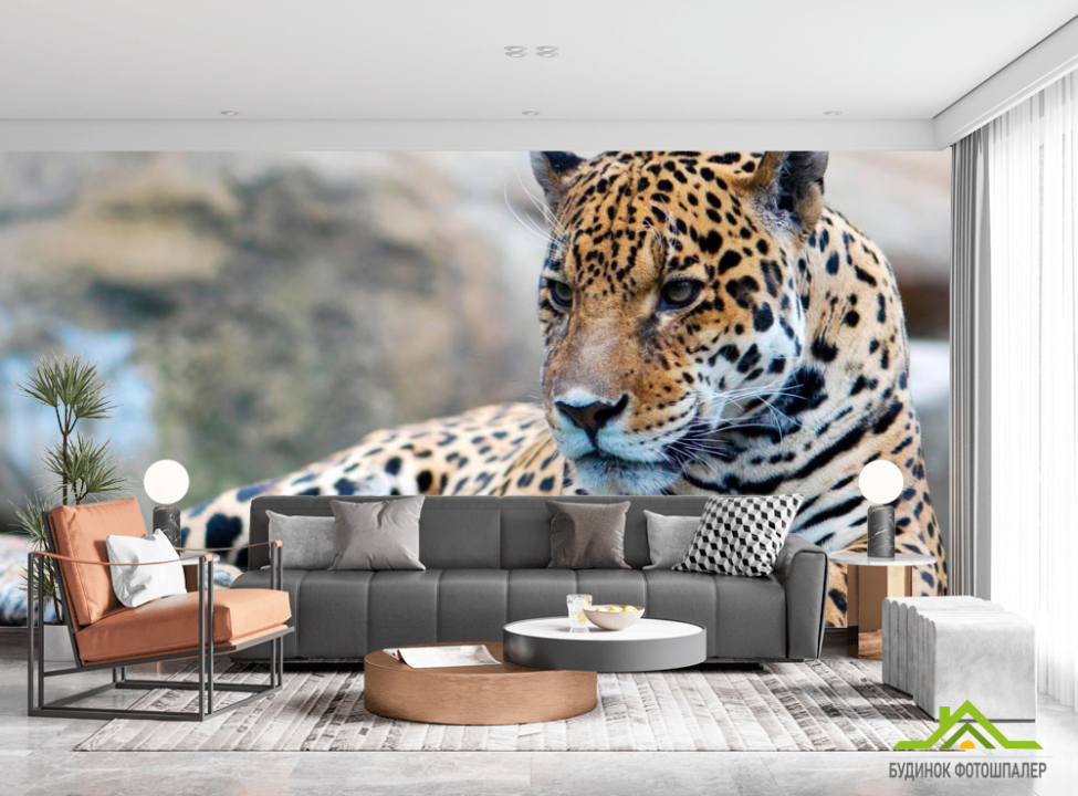 выбрать Фотообои Гепард на отдыхе Каталог фотообоев на стену