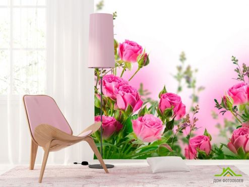 выбрать Фотообои Роза чайная Фотообои Цветы на стену