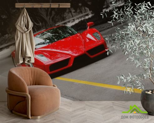 выбрать Фотообои Ferrari Enzo Фотообои Фотообои Транспорт: фото, красный  на стену