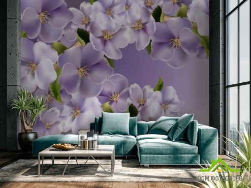 выбрать Фотообои Фиолетовые цветы  на стену