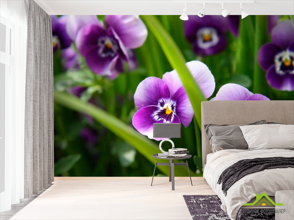 Фотообои Фиолетовые анютины глазки