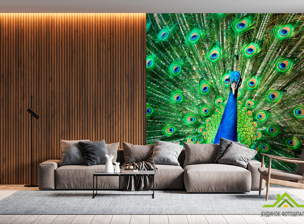 выбрать Фотошпалери Прекрасний павич Каталог фотошпалер на стіну