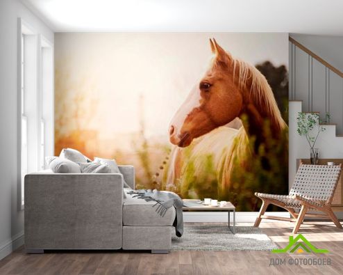 выбрать Фотообои Лошадь среди трав Фотообои Лошади на стену