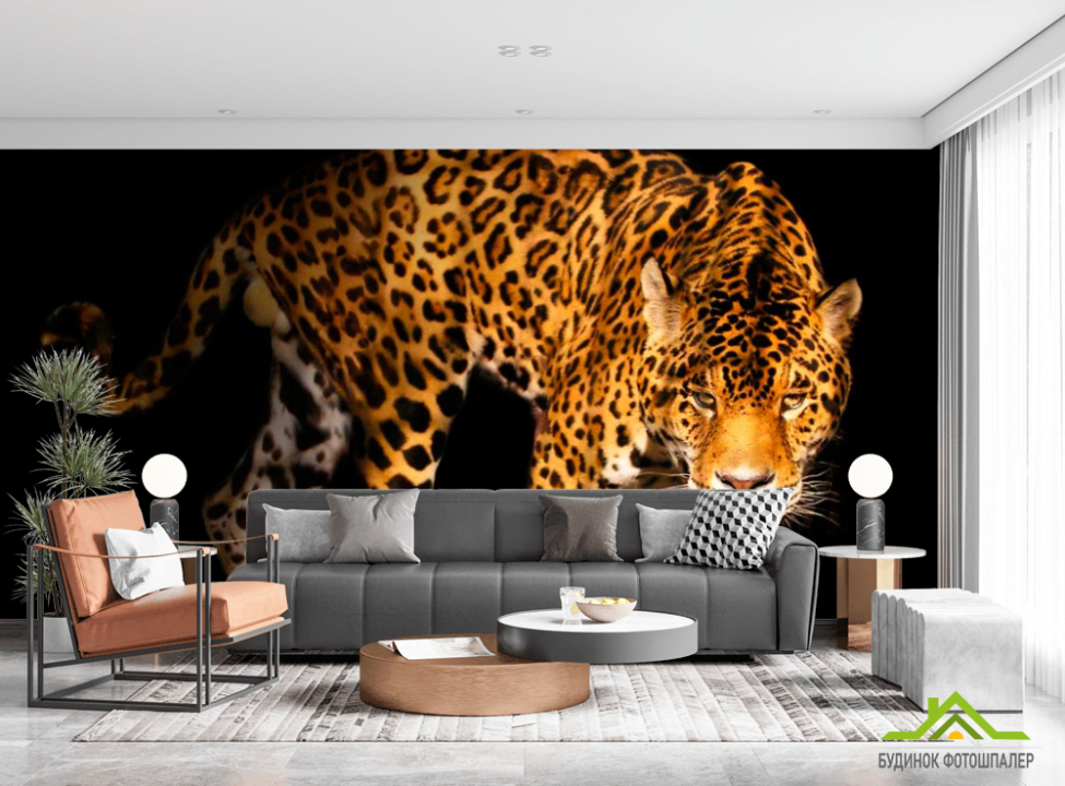 выбрать Фотообои Нападающий гепард Каталог фотообоев на стену