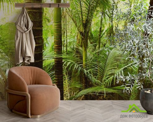выбрать Фотообои тропические пальмы Фотообои Природа на стену