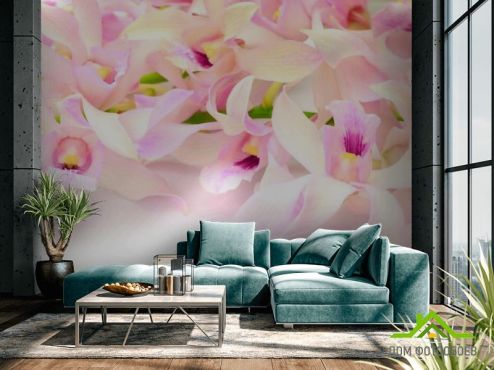 выбрать Фотообои Нежно-розовые орхидеи Фотообои, цвет: «фото» на стену