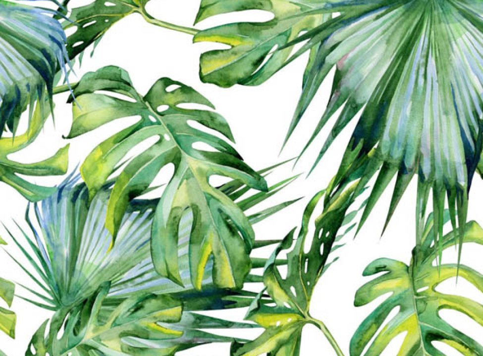 выбрать Фотошпалери тропічні листя Каталог фотошпалер на стіну