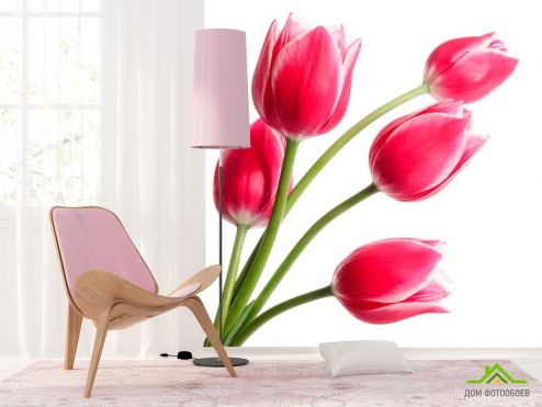 выбрать Фотообои Тюльпаны розовые Фотообои Фотообои Цветы: квадратная, розовый ориентация на стену