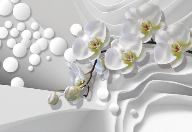 Фотообои 3д орхидеи
