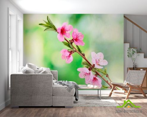 выбрать Фотообои Распустившиеся цветы весной Фотообои, цвет: «горизонталная, горизонтальная» на стену