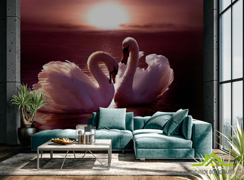 выбрать Фотошпалери Лебеді Каталог фотошпалер на стіну