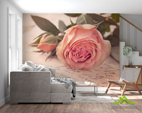выбрать Фотообои Розы кремовые, бумага Фотообои Фотообои Цветы:  на стену