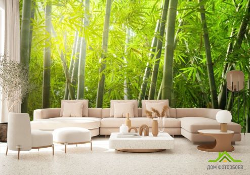 выбрать Фотошпалери бамбуковий ліс Фотошпалери Фотошпалери Природа: квадратна, горизонтальна орієнтація на стіну
