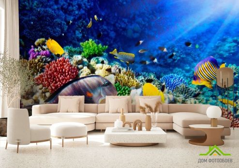 выбрать Фотообои Рыбы в глубине Фотообои Фотообои Море: горизонталная, горизонтальная ориентация на стену