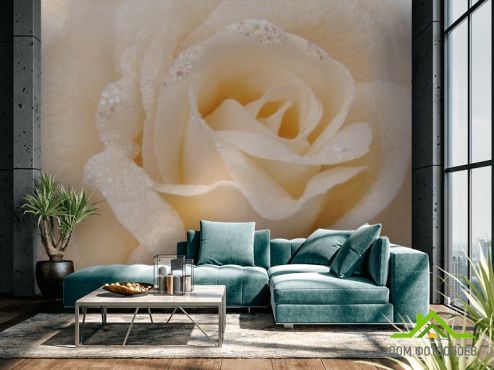выбрать Фотообои бежевая роза из ткани с блестками Фотообои Фотообои Цветы:  на стену
