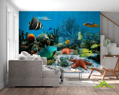 выбрать Фотошпалери Морські риби Сині фотошпалери на стіну