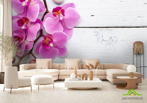 выбрать Фотообои сиреневая орхидея на белом деревянном фоне Фотообои, цвет: «горизонталная, горизонтальная» на стену
