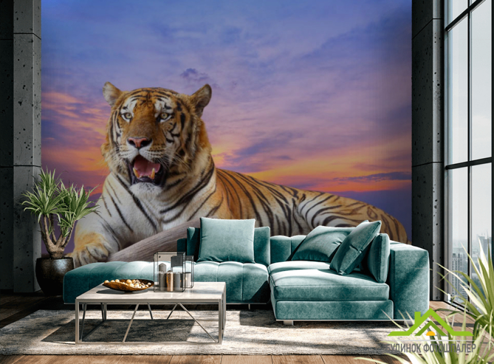 выбрать Фотошпалери тигр Каталог фотошпалер на стіну