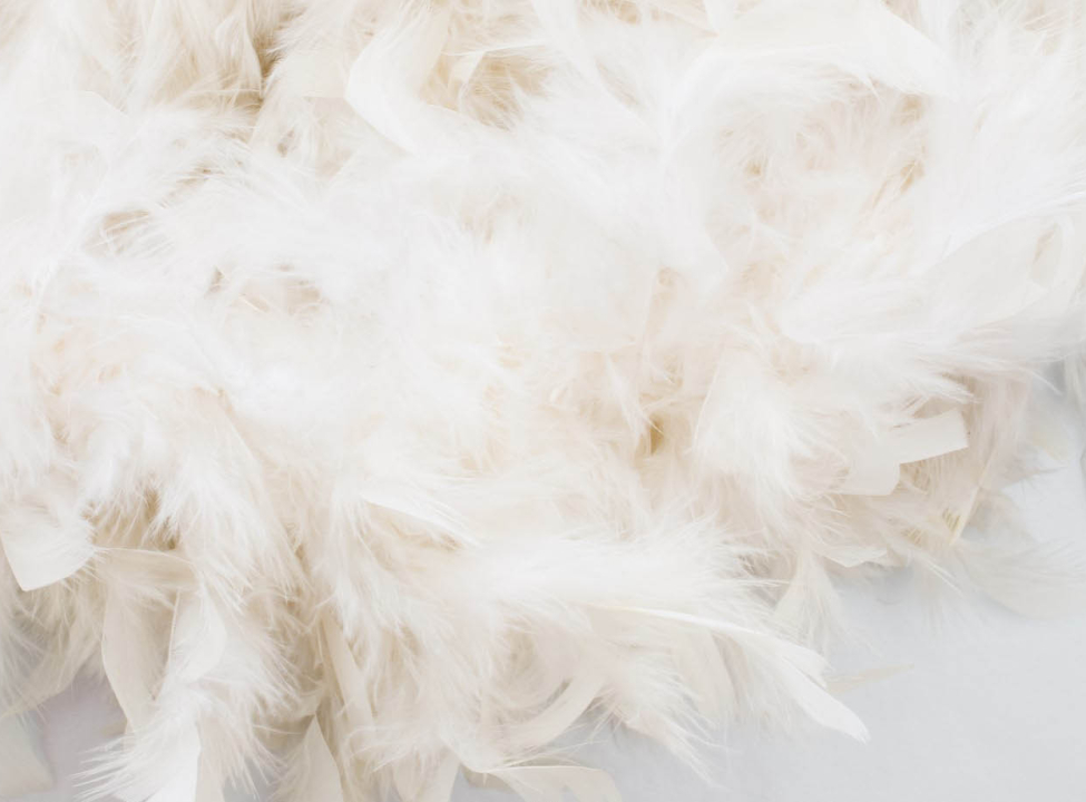 выбрать Фотошпалери Бежеві пір'я Каталог фотошпалер на стіну