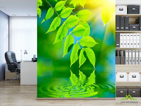 выбрать Фотообои Зелень над водой Фотообои Фотообои Цветы: вертикальная, зелений, зеленый ориентация на стену