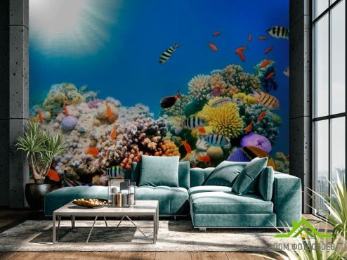 выбрать Фотообои Рыбный косяк Фотообои, цвет: «горизонталная, горизонтальная» на стену