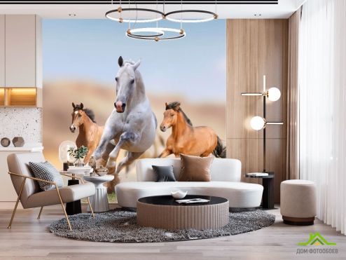 выбрать Фотошпалери Ігри коней Фотошпалери Фотошпалери Тварини: квадратна, фото орієнтація на стіну