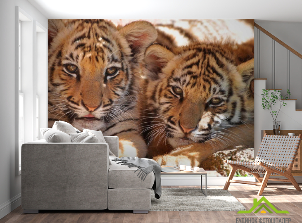 выбрать Фотообои Тигрята Каталог фотообоев на стену