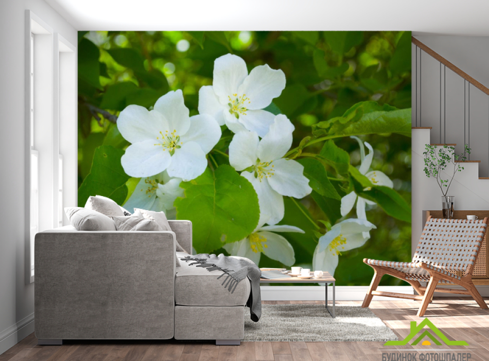 выбрать Фотошпалери Чубушник Каталог фотошпалер на стіну