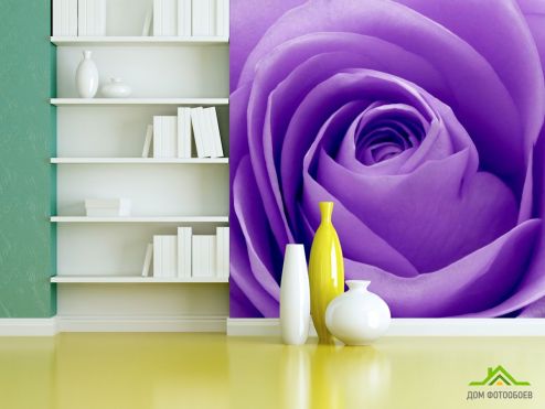 выбрать Фотообои Сиреневая роза Фотообои Фотообои Цветы: квадратная, фиолетовый ориентация на стену