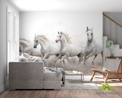 выбрать Фотообои четыре белые лошади Фотообои Животные на стену
