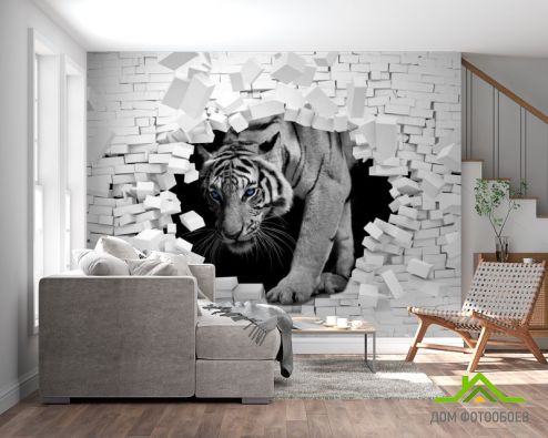 выбрать Фотошпалери Тигр із кам'яної стіни Фотошпалери Фотошпалери Тварини: квадратна, горизонтальна орієнтація на стіну