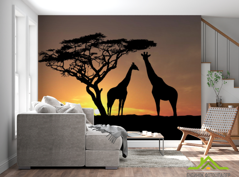выбрать Фотообои жирафы Каталог фотообоев на стену