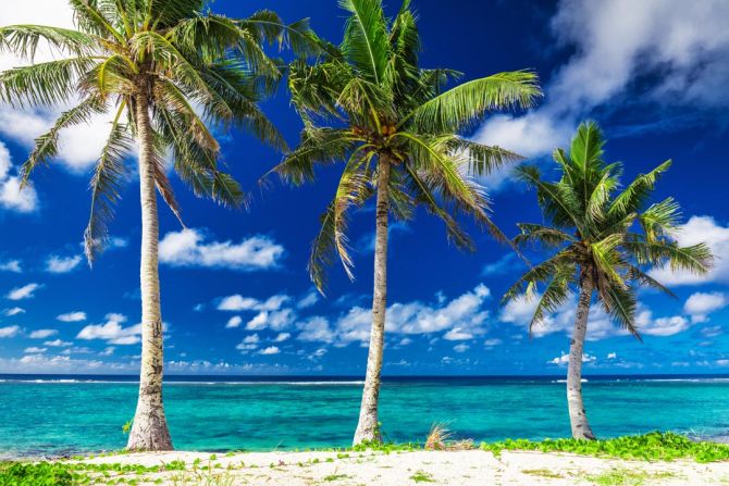 Фотообои Три пальмы у моря