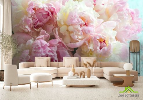 выбрать Фотообои Пионы розовые Фотообои Фотообои Цветы:  на стену