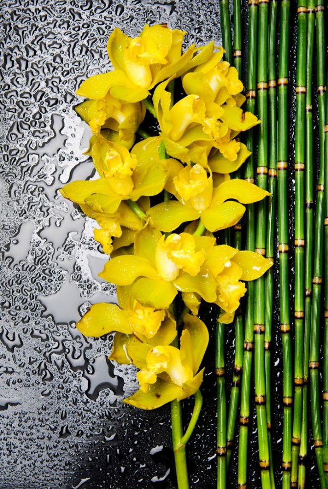 Фотошпалери жовта орхідея з бамбуком і водою