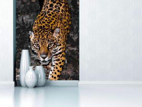 выбрать Фотошпалери леопард крадеться Фотошпалери, колір: «вертикальна» на стіну