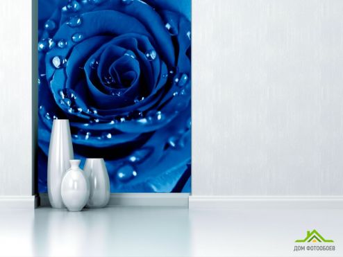 выбрать Фотообои Роза ярко-синяя Фотообои Фотообои Цветы: вертикальная на стену