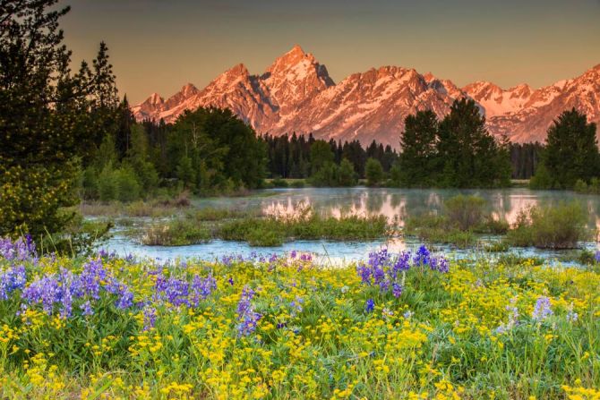 Фотообои Природа, горы, цветы